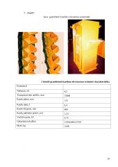 Kaušiniai elevatoriai 9 puslapis