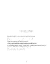 Keinso teorija 16 puslapis