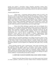 Keinso teorija 6 puslapis