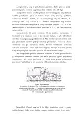 Kelio dangų lyginimas ir profiliavimas 4 puslapis