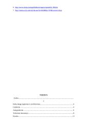 Kelio dangų lyginimas ir profiliavimas 10 puslapis