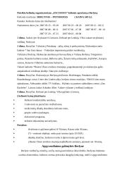 Kelionės į pasirinktą vietą organizavimas: Berlynas 12 puslapis