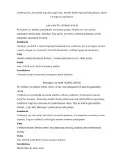 Kelionės į pasirinktą vietą organizavimas: Berlynas 13 puslapis