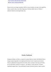 Kelionės į pasirinktą vietą organizavimas: Berlynas 20 puslapis