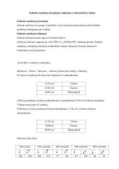 Kelionės į pasirinktą vietą organizavimas: Berlynas 6 puslapis