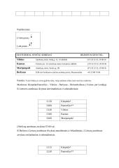 Kelionės į pasirinktą vietą organizavimas: Berlynas 7 puslapis