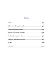 Keramikos istorijos raida Lietuvoje 2 puslapis