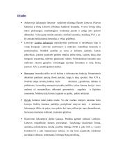 Keramikos istorijos raida Lietuvoje 10 puslapis