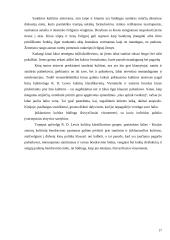 Kinijos kultūros ypatumai pagal G. Hofstede, F. Trampenaar, R.R. Gesteland ir R.D. Lewis 17 puslapis