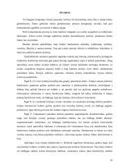 Kinijos kultūros ypatumai pagal G. Hofstede, F. Trampenaar, R.R. Gesteland ir R.D. Lewis 18 puslapis