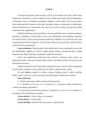 Kinijos kultūros ypatumai pagal G. Hofstede, F. Trampenaar, R.R. Gesteland ir R.D. Lewis 3 puslapis