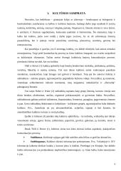 Kinijos kultūros ypatumai pagal G. Hofstede, F. Trampenaar, R.R. Gesteland ir R.D. Lewis 4 puslapis