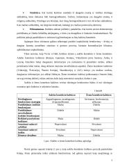 Kinijos kultūros ypatumai pagal G. Hofstede, F. Trampenaar, R.R. Gesteland ir R.D. Lewis 5 puslapis