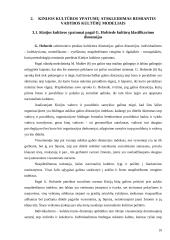 Kinijos kultūros ypatumai pagal G. Hofstede, F. Trampenaar, R.R. Gesteland ir R.D. Lewis 10 puslapis