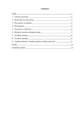 Klaipėdos miesto problemos