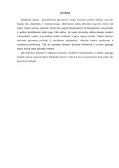 Klaipėdos miesto problemos 2 puslapis