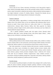 Klaipėdos miesto problemos 11 puslapis