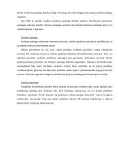 Klaipėdos miesto problemos 12 puslapis