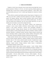 Klaipėdos miesto problemos 3 puslapis