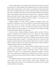 Klaipėdos miesto problemos 4 puslapis