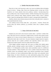 Klaipėdos miesto problemos 5 puslapis