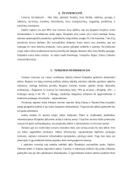 Klaipėdos miesto problemos 6 puslapis