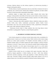 Klaipėdos miesto problemos 7 puslapis