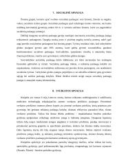 Klaipėdos miesto problemos 8 puslapis