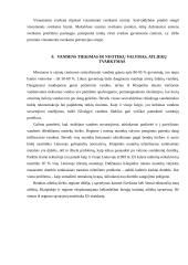 Klaipėdos miesto problemos 9 puslapis