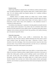 Klaipėdos miesto problemos 10 puslapis