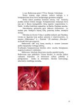 Klasicizmo muzika 10 puslapis