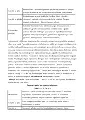 Literatūros ir meno epochos 2 puslapis