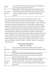 Literatūros ir meno epochos 3 puslapis