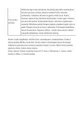 Literatūros ir meno epochos 4 puslapis