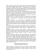 Klasikinė muzika. Romantizmo epocha 13 puslapis