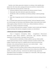 Klientų aptarnavimo strategija 11 puslapis