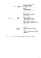 Klientų aptarnavimo strategija 12 puslapis
