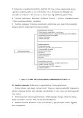 Klientų aptarnavimo strategija 5 puslapis