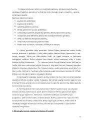 Klientų aptarnavimo strategija 10 puslapis