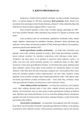 Klimato kaita ir klimato kaitos modeliai 12 puslapis