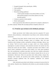 Klimato kaita ir klimato kaitos modeliai 15 puslapis