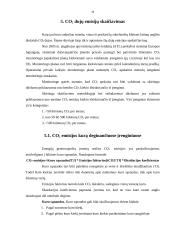 Klimato kaita ir klimato kaitos modeliai 19 puslapis