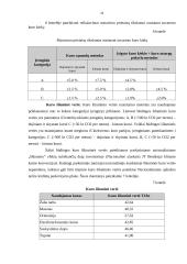 Klimato kaita ir klimato kaitos modeliai 20 puslapis