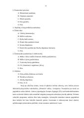 Klimato kaita ir klimato kaitos modeliai 10 puslapis