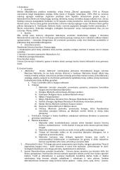 Privalomų literatūros autorių konspektas 14 puslapis