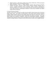 Privalomų literatūros autorių konspektas 3 puslapis