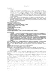 Privalomų literatūros autorių konspektas 6 puslapis