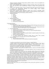 Privalomų literatūros autorių konspektas 9 puslapis