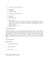 Politikos paskaitų teorinė medžiaga 11 puslapis