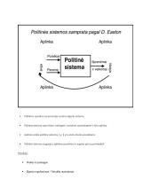 Politikos paskaitų teorinė medžiaga 6 puslapis